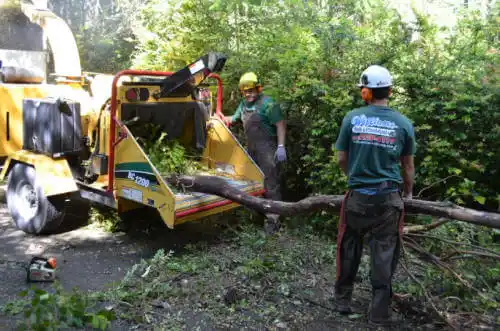 tree services Satsuma